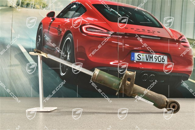 Stoßdämpfer, R