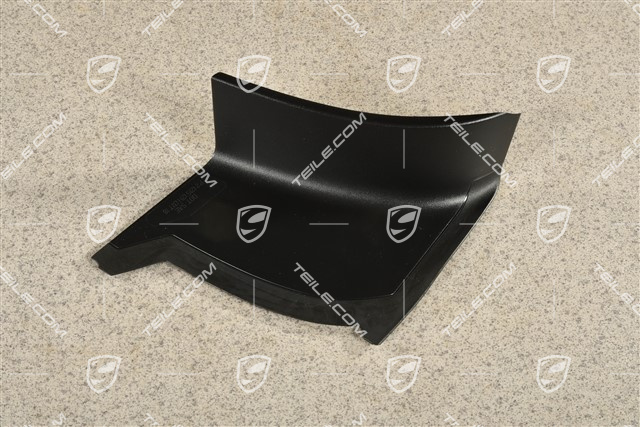 Rear light cover, outer, R