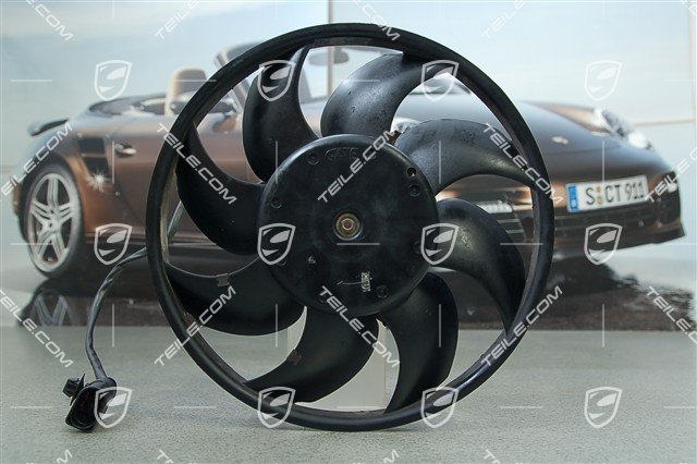 Fan, L Fan, L