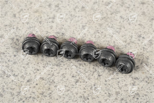 Glass roof screw M5 x 12,5