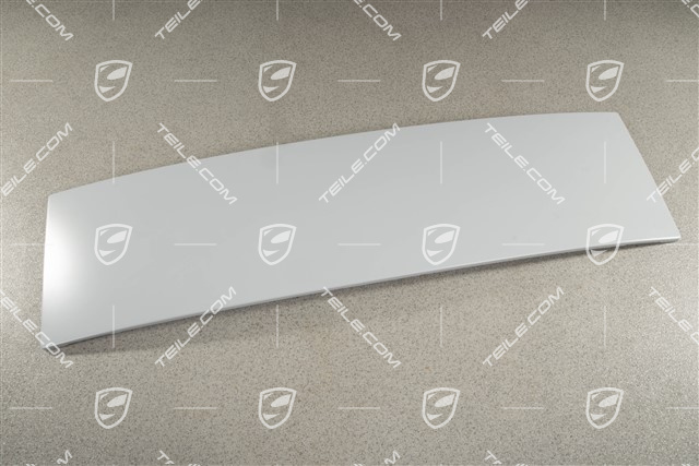 Blende / Dachleiste hinten