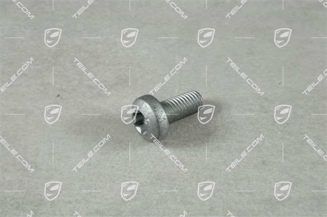 Flachrundschraube M8X18 Flachrundschraube M8X18