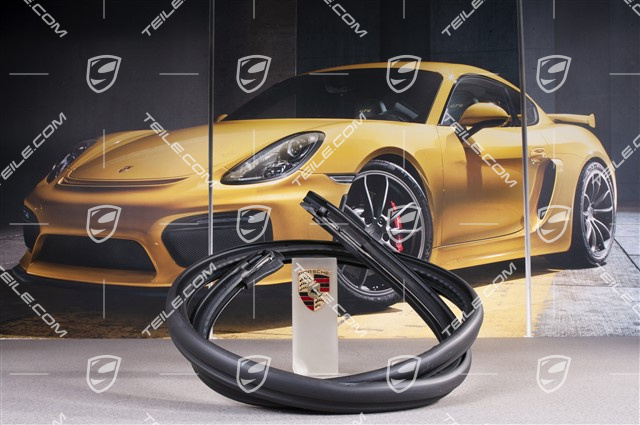 Türdichtung, innen, Cabrio, R