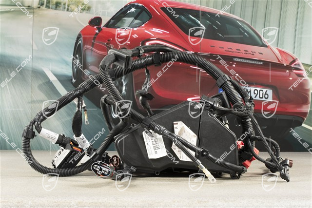 Leitungssatz, Motorraum, 4,2L TDI