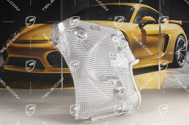 Retaining frame, incl. heat shield, GT3 / 911R, L