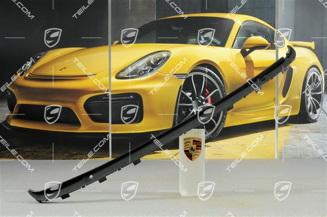 Spoiler trim Spoiler trim