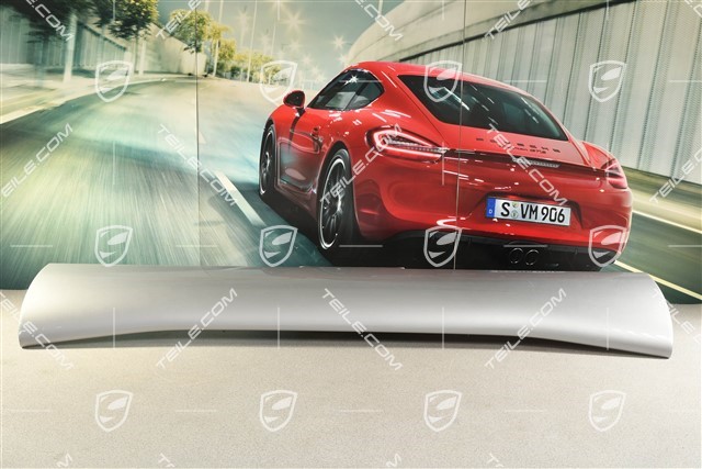 GT3RS rear spoiler / rear wing