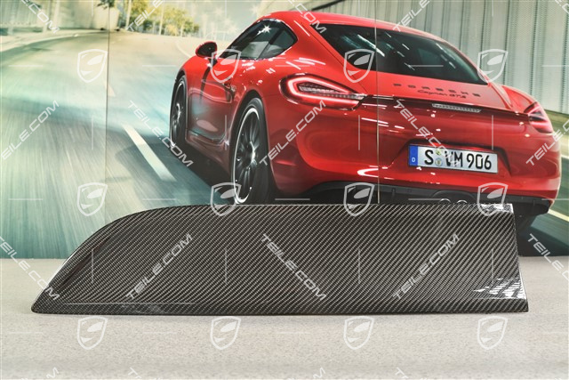 Blende, Tür, Hinten, Carbon, L