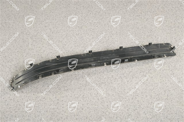 Blende, Einstiegleiste, Hinten, Edelstahl, R