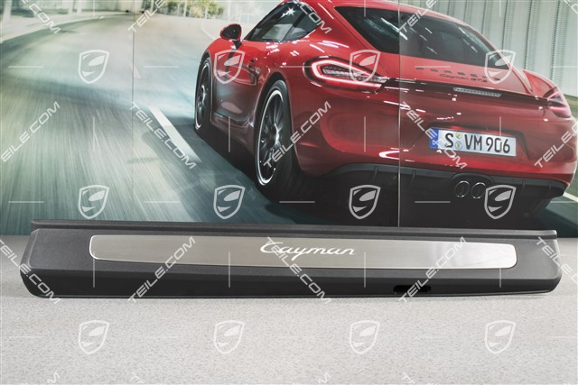 Blenden/Einstiegleisten, mit Beleuchtung, Edelstahl, "Cayman", Satz, L+R
