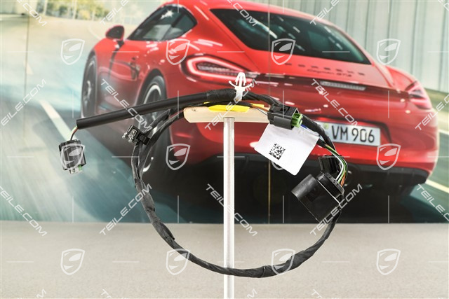 Kabelstrang, vordere Verkleidung Stoßstange, Spyder, R