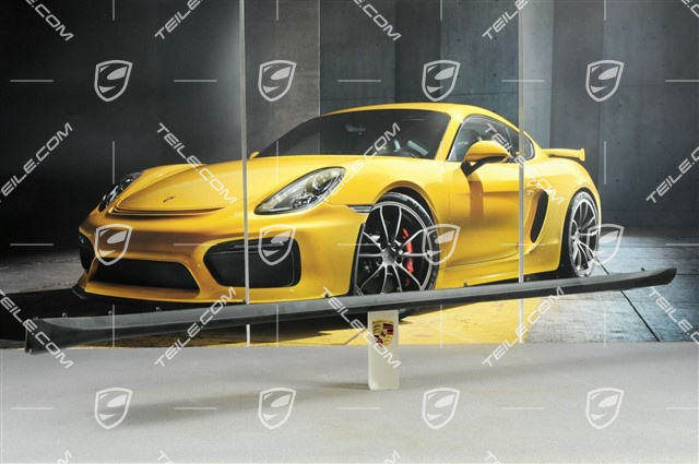 Osłona progu, C4/C4S/Targa4/Targa4S/GT3, R