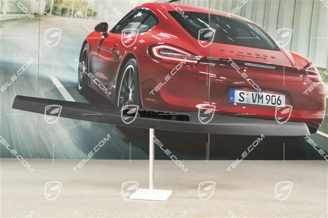 Verkleidung Schweller Fahrerseite