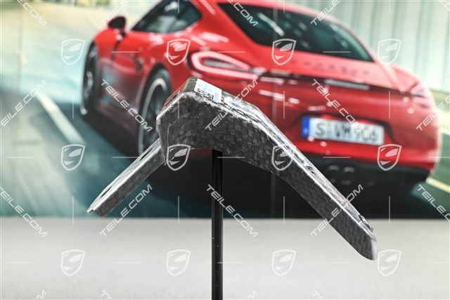 718 Spyder, Wspornik błotnika, R