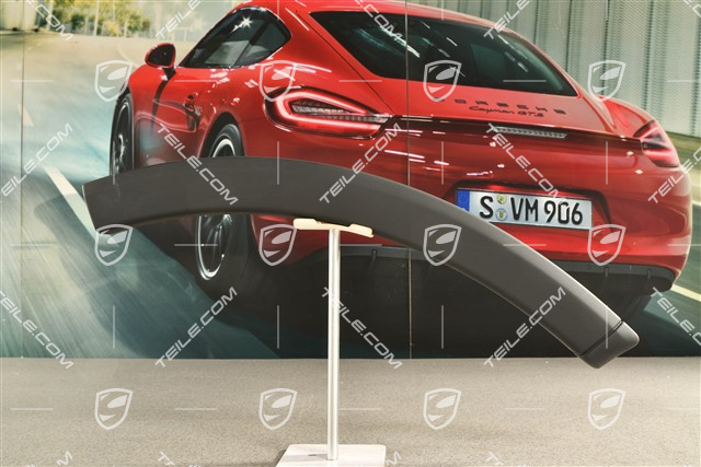 Radabdeckung, Hintertür, Grundiert, R