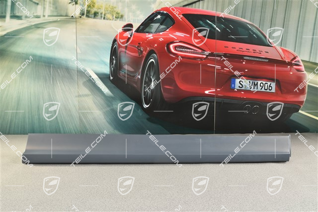 Front door cover / molding, Turbo / GTS, R