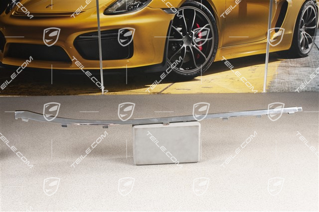 Schwellerblende Zierleiste, Chrom, Langer Radstand, Hinten, L
