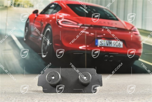 Front axle fixed caliper brake pad mouting / brake damper plate, L=R