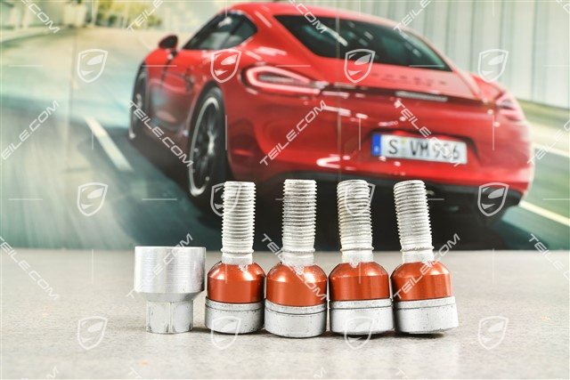 Diebstahlsicherung Satz, silber, Radschrauben + Adapter