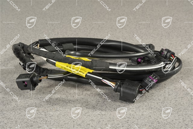 Kabelstrang Verkleidung hinten, C2/C2S, PDC