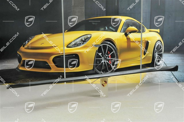 Schwellerblende, C4/C4S/Targa4/Targa4S/GT3, L