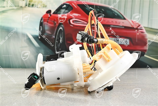 Fuel pump in the fuel tank, Hybrid
