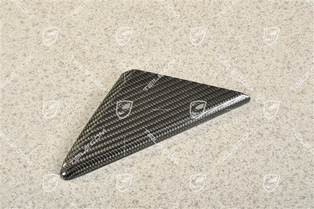 Abdeckung, Fensterfuehrung, carbon, L