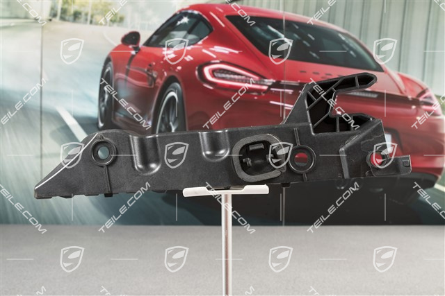 Retaining strip, Lateral, Turbo/GT2RS, L