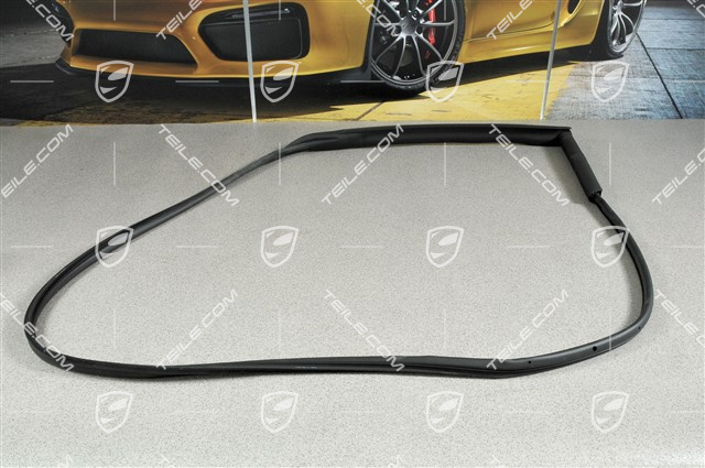 Türdichtung, Targa, L Türdichtung, Targa, L