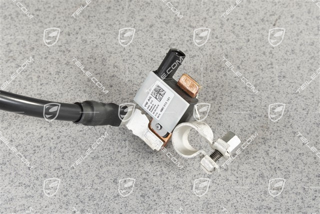 Masskabel / Massleitung, Baterie, inkl. Sensor