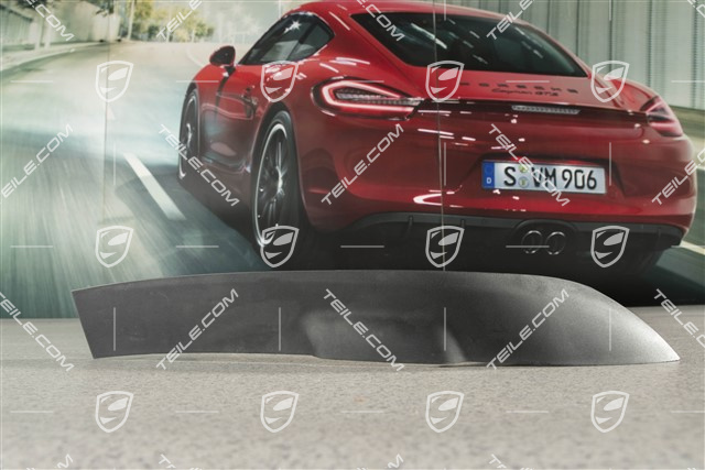 Bumper cover, L