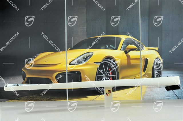 Schwellerblende lackiert, C4 / 4S / Turbo / GT3 RS, L