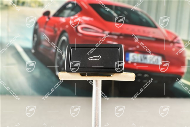 Tailgate closing switch, Black