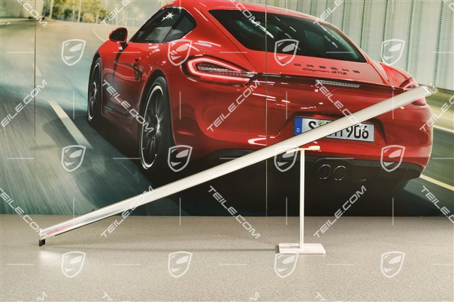 Moulding, aluminium package, rear door, Galvano silver, L