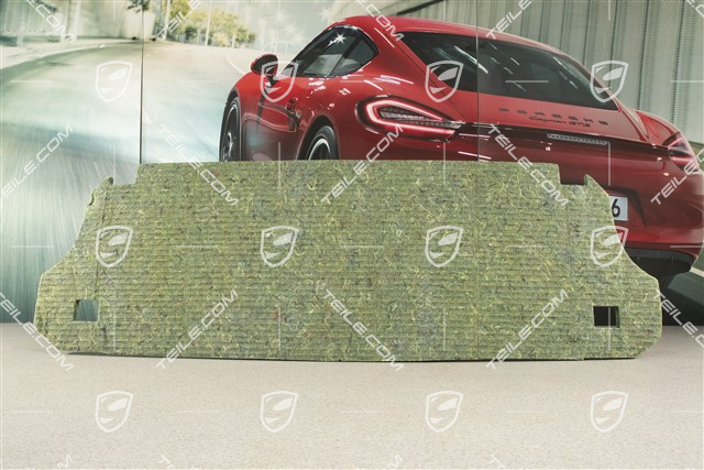 Targa / Coupe, Daemmung Dämpfung, Strinwand, Unterteil
