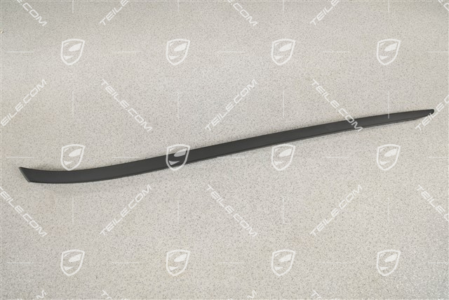 Windshield Water drain strip, A-pillar, black matte, L
