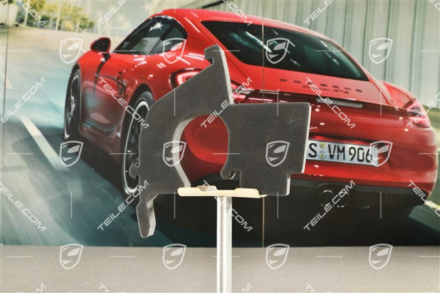 3,0L V6, Sealing strip, L=R