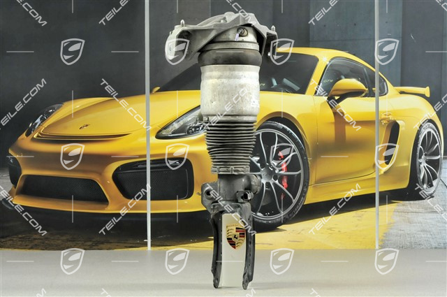 Federbein komplett, V8 4,8L 280KW / V8 Biturbo 4.8L 368KW, L Federbein komplett, V8 4,8L 280KW / V8 Biturbo 4.8L 368KW, L