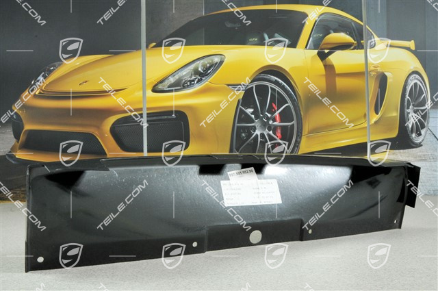 Luftführung Mitte, GT3 CUP