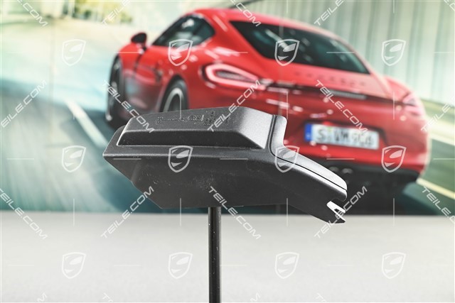 Tail light trim, R
