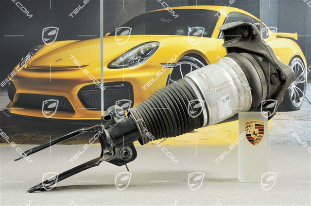 Federbein, pneumatisch, S / Turbo, R Federbein, pneumatisch, S / Turbo, R