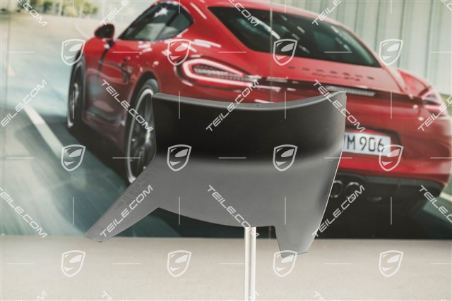 Rear light cover, outer, R