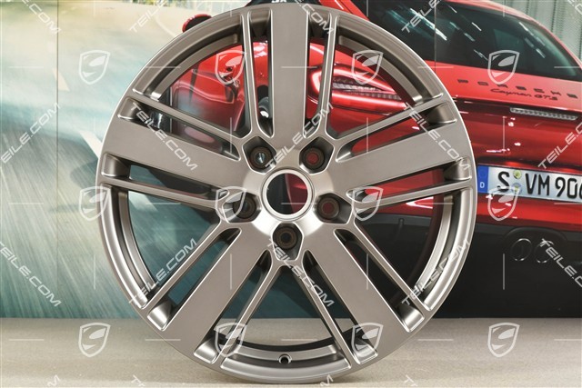 20" Felge Panamera Design 2, 9,5J x 20 ET71, in Platinum Seidenmatt