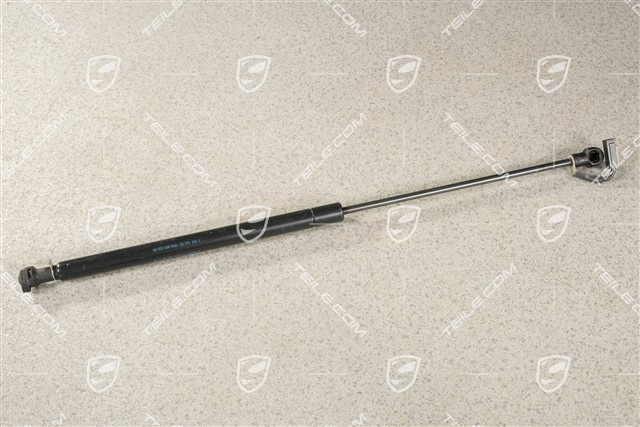 Gasdruckfeder, R