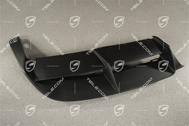 Lining rear, lower, Spyder, R