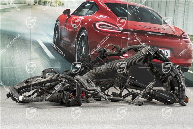 Motor Kabelstrang / Kabelbaum, 4.5L 330kW V8 Biturbo