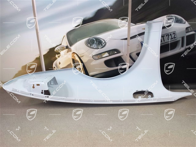 Fender / Wing, L
