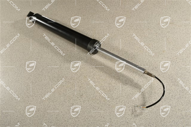 Schwingungsdämpfer, Standard-2 PASM, L=R