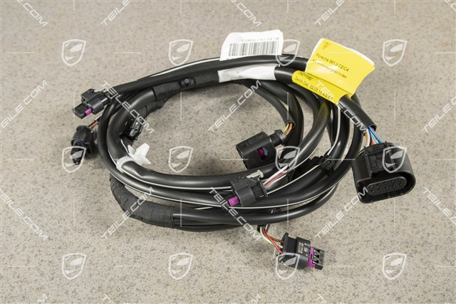 Kabelstrang Verkleidung hinten, C4/C4S, PDC