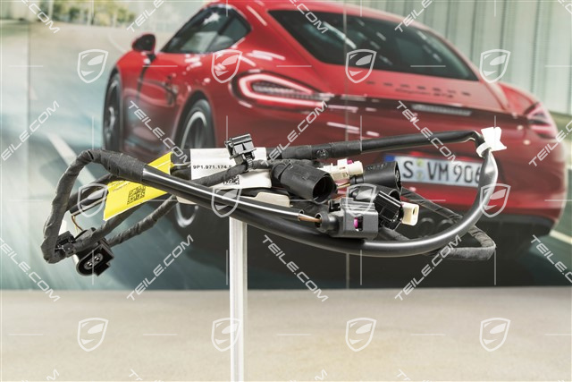 Stossfänger hinten Kabelstrang, GT3/GT3 RS